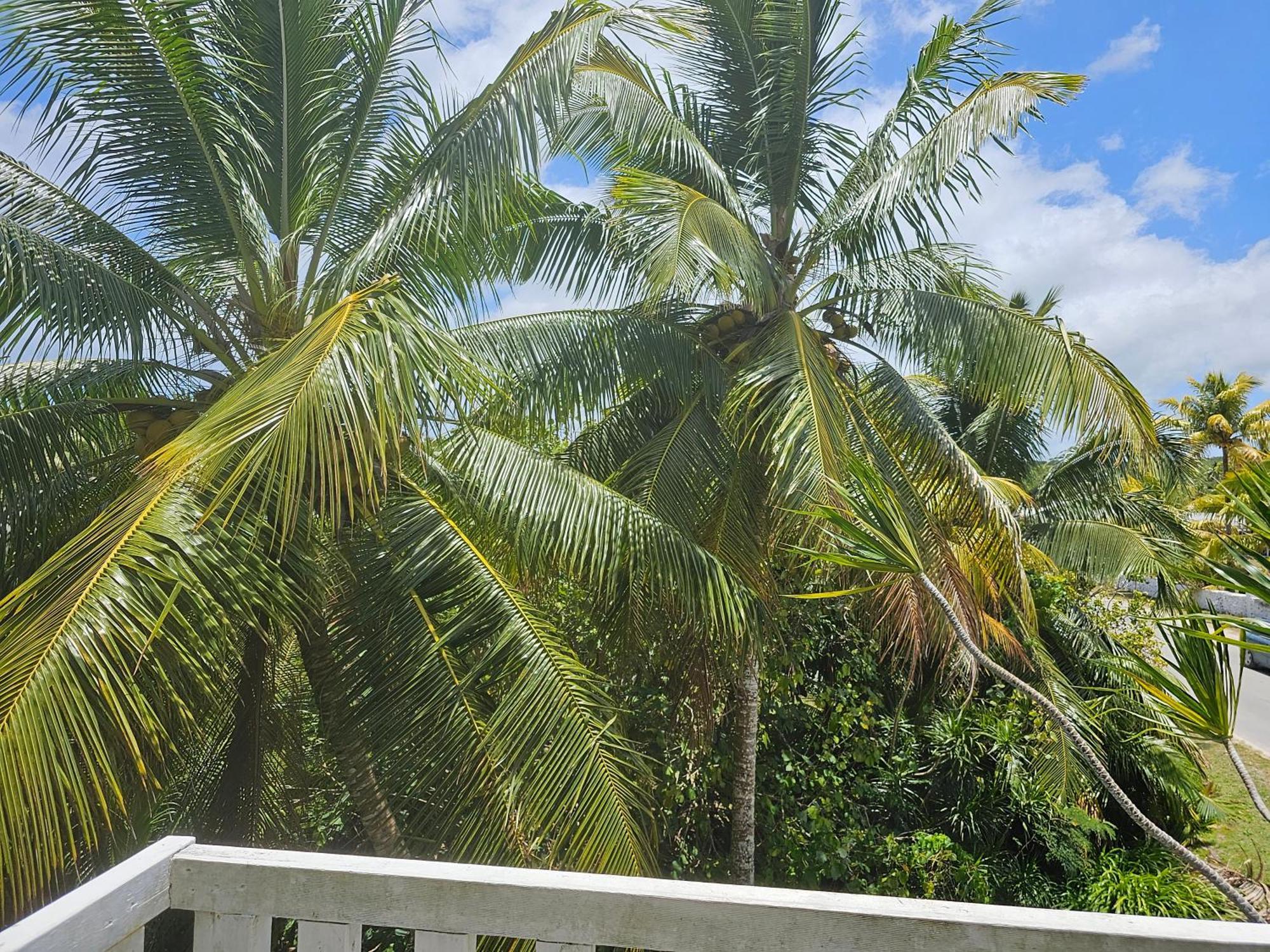 Heleni Jessop'S Fatahega Villa Alofi Luaran gambar