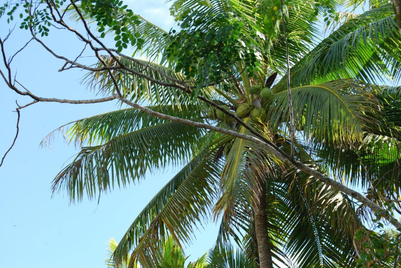 Heleni Jessop'S Fatahega Villa Alofi Luaran gambar